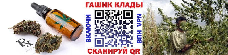 Купить закладки  Белая Холуница  Canna-Cookies конопля 
