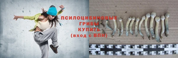 метамфетамин Белокуриха