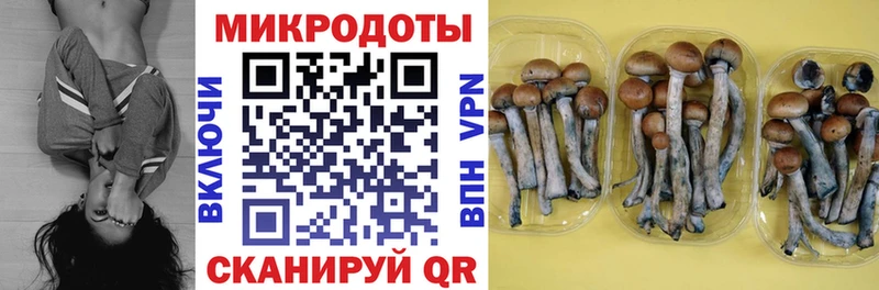 Купить где  Белая Холуница  Псилоцибиновые грибы Cubensis 